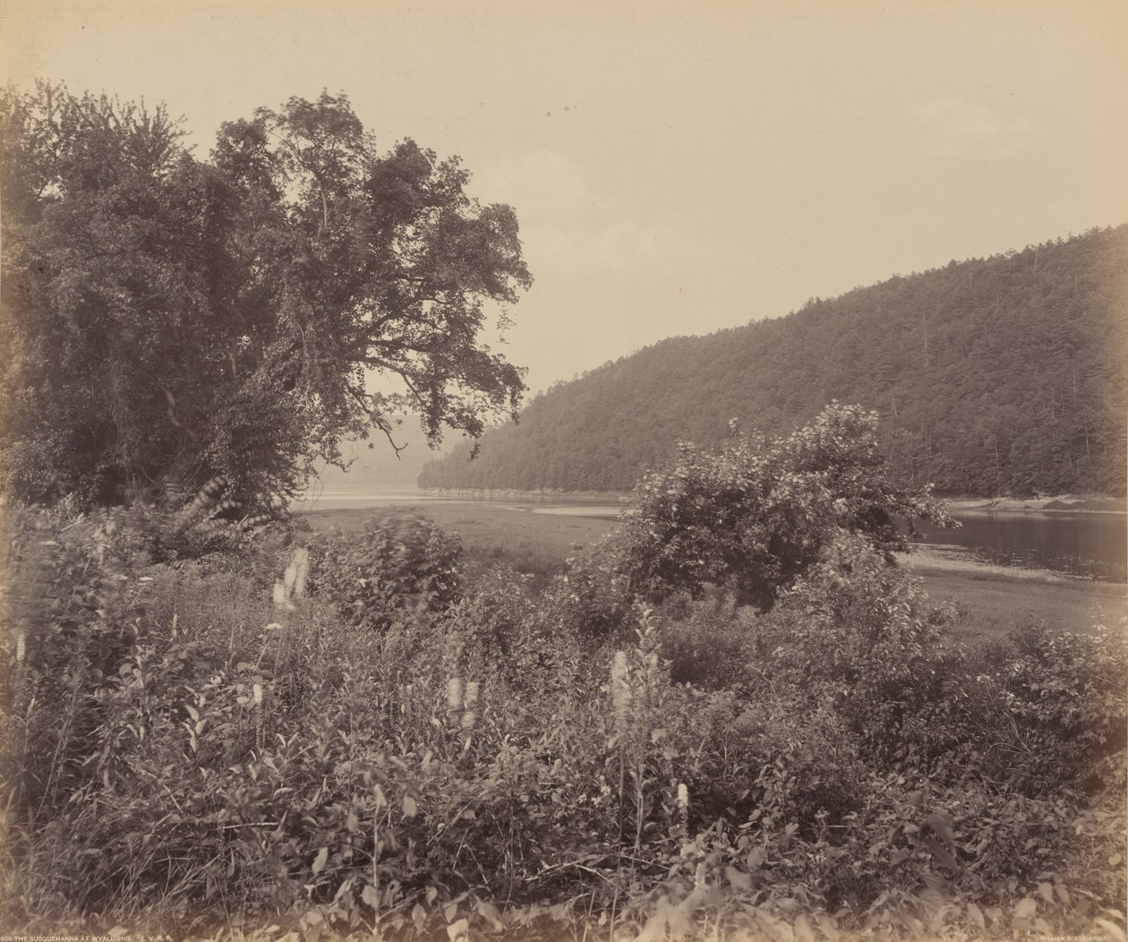  by William Herman Rau