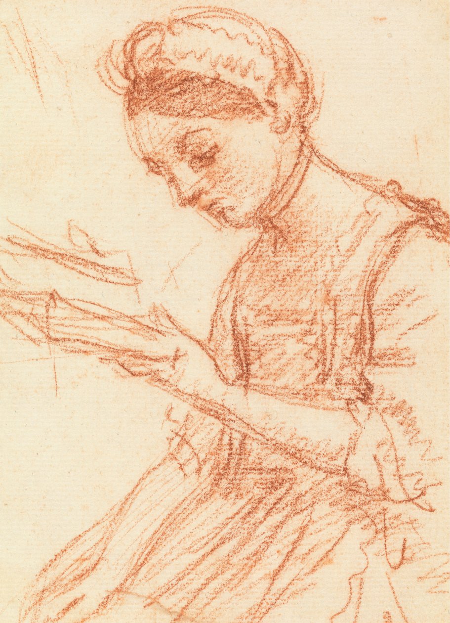 bir kitap ile genç bayan by William Hoare