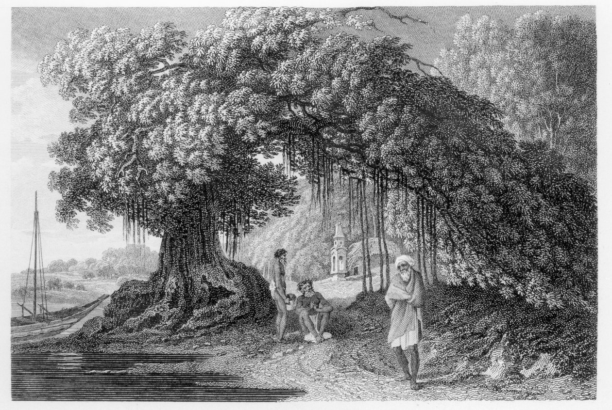 Bir Banyan Ağacı, William Hodges tarafından '1780-83 yıllarında Hindistan'da Seyahatler'den, Benjamin Pouncy (fl.1772-99) tarafından oyulmuş, 1792'de yayınlandı by William Hodges