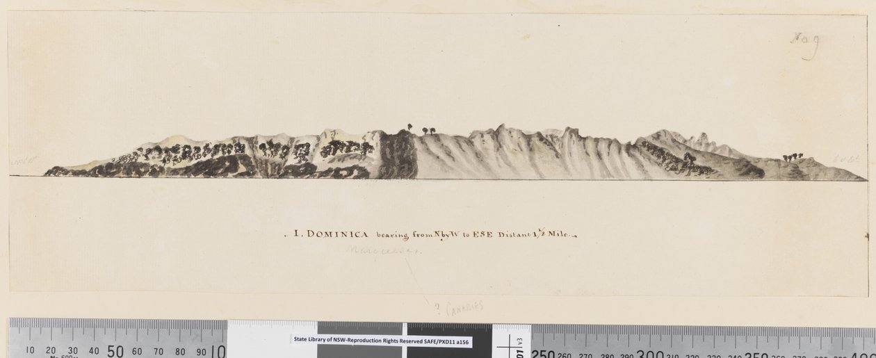 Sayfa 25a/c 1. Dominika, N