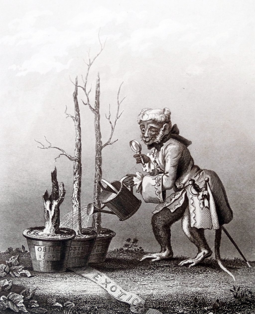 Sanatçı Kataloğunun Kuyruk Parçası by William Hogarth
