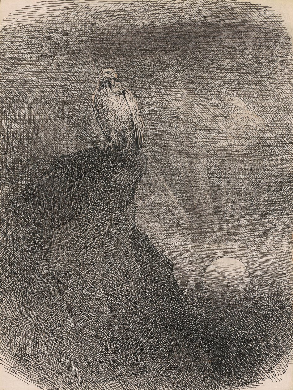 Genius, 1865-95 (karton üzerinde kalem, mürekkep ve grafit) by William Holbrook Beard