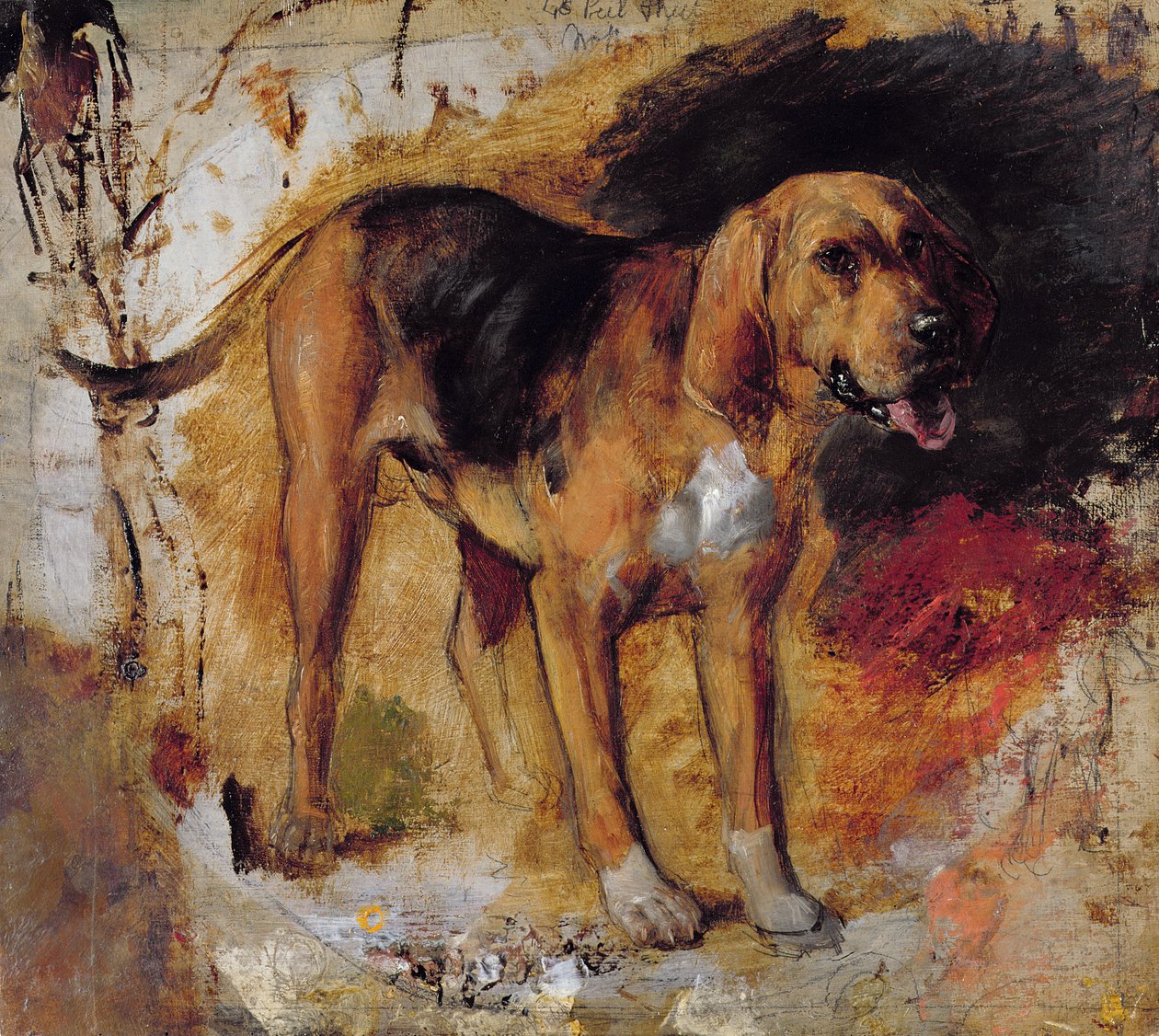 Bir Bloodhound Çalışması by William Holman Hunt