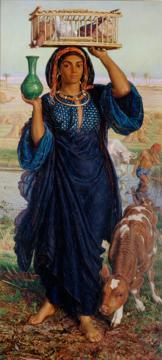 Mısır
