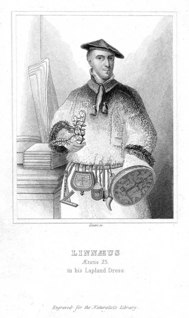 Carolus Linnaeus, İsveçli doğa bilimci, 1732 19. yüzyılın başları by William Home Lizars
