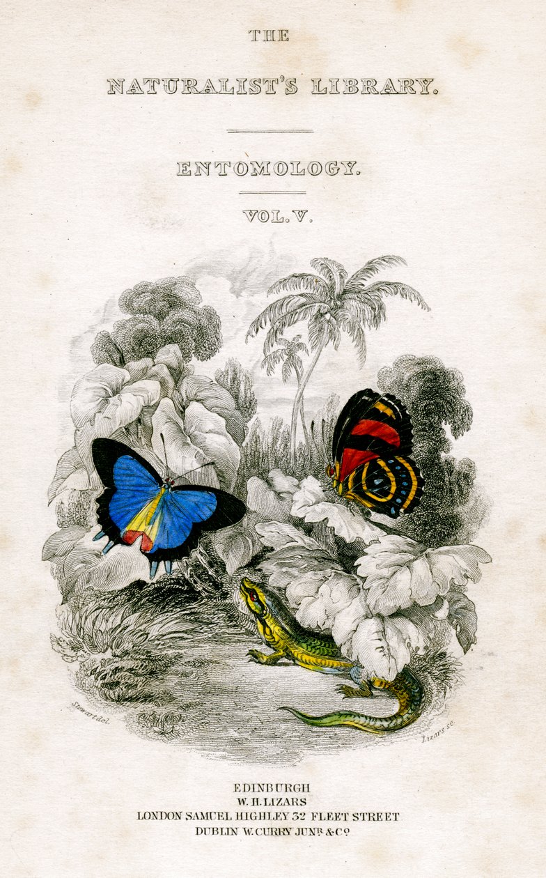 The Naturalists Library, Entomology, Cilt V, Kelebekler, c1833-1865. by William Home Lizars