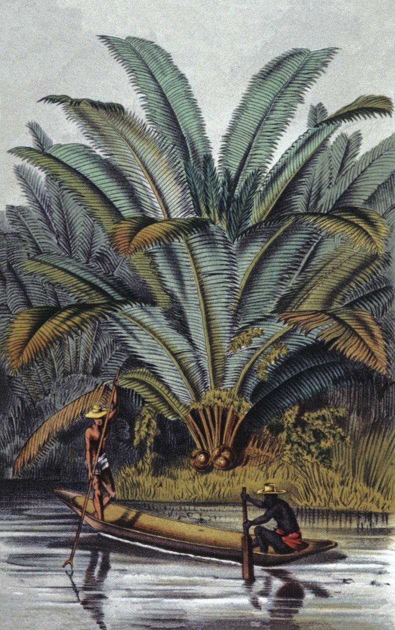  by William Hooker
