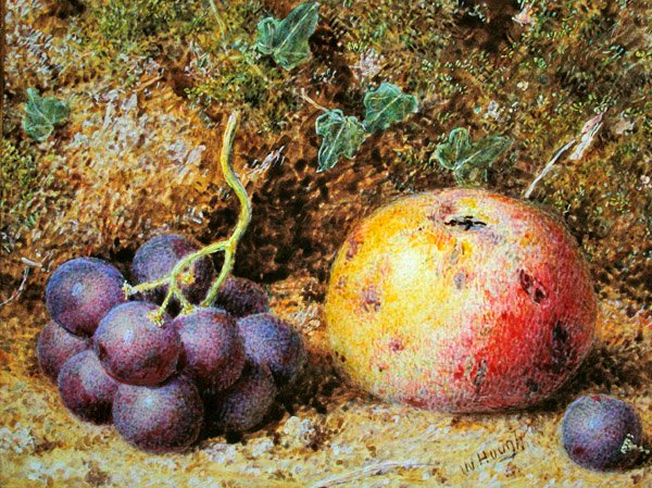 Elmalar ve Üzümler (kağıt üzerine gövde rengi ile sulu boya) by William Hough