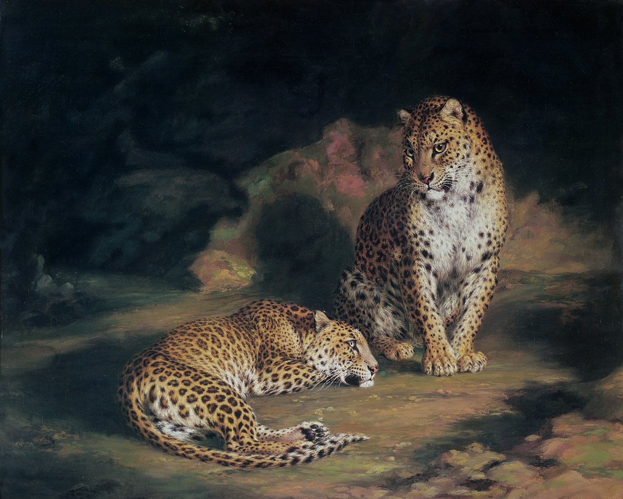 Bir Çift Leopar, 1845 by William Huggins