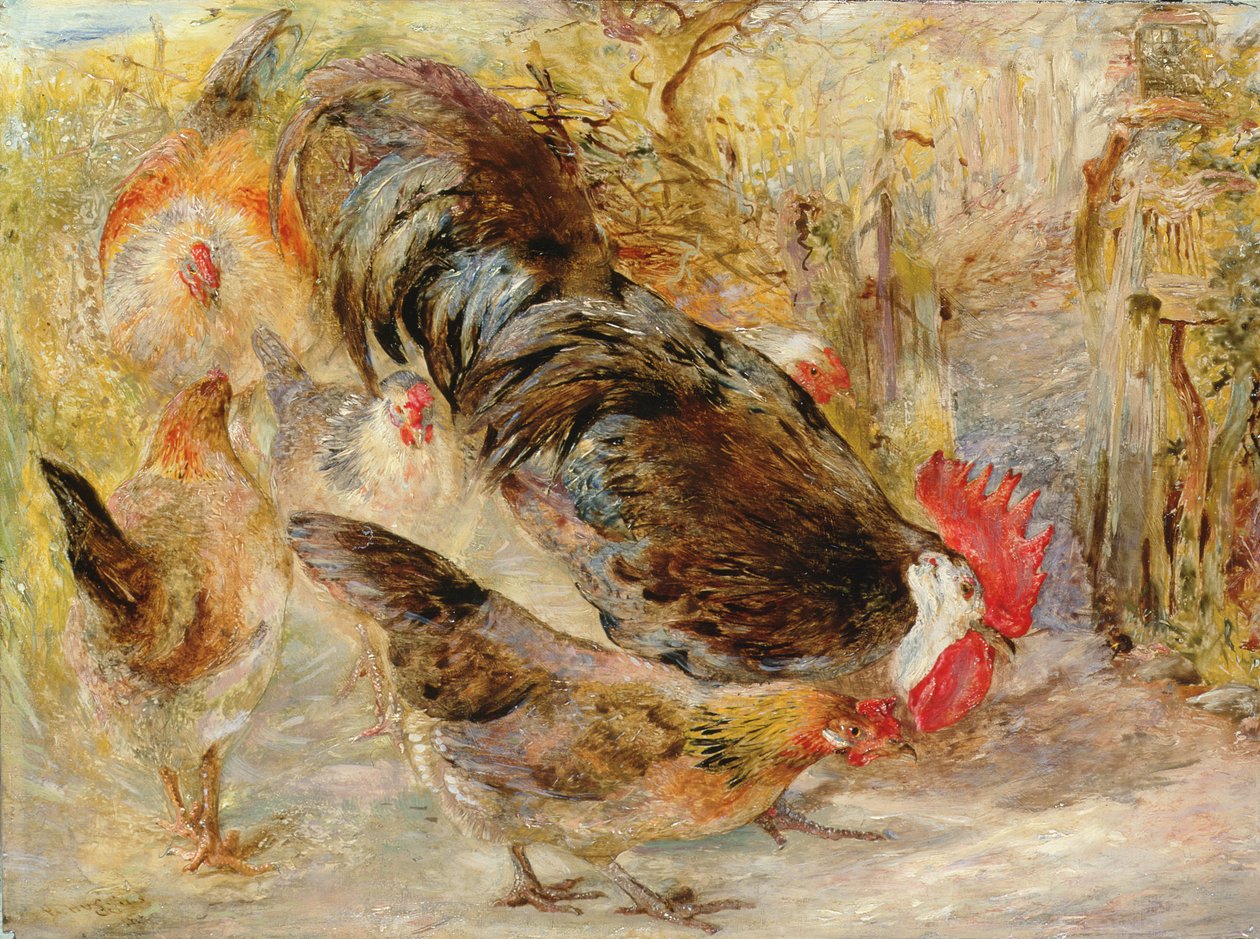 Ahır Kapı Tavuğu (Rhode Island Reds), 1860 by William Huggins