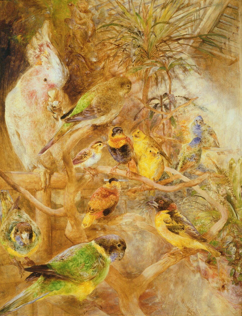 Kuş Kafesi, 1871 by William Huggins