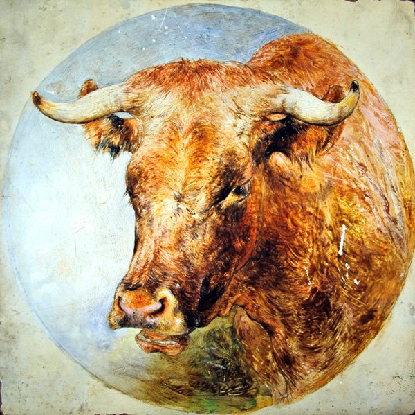 Uzunboynuzlu İnek Başkanı by William Huggins