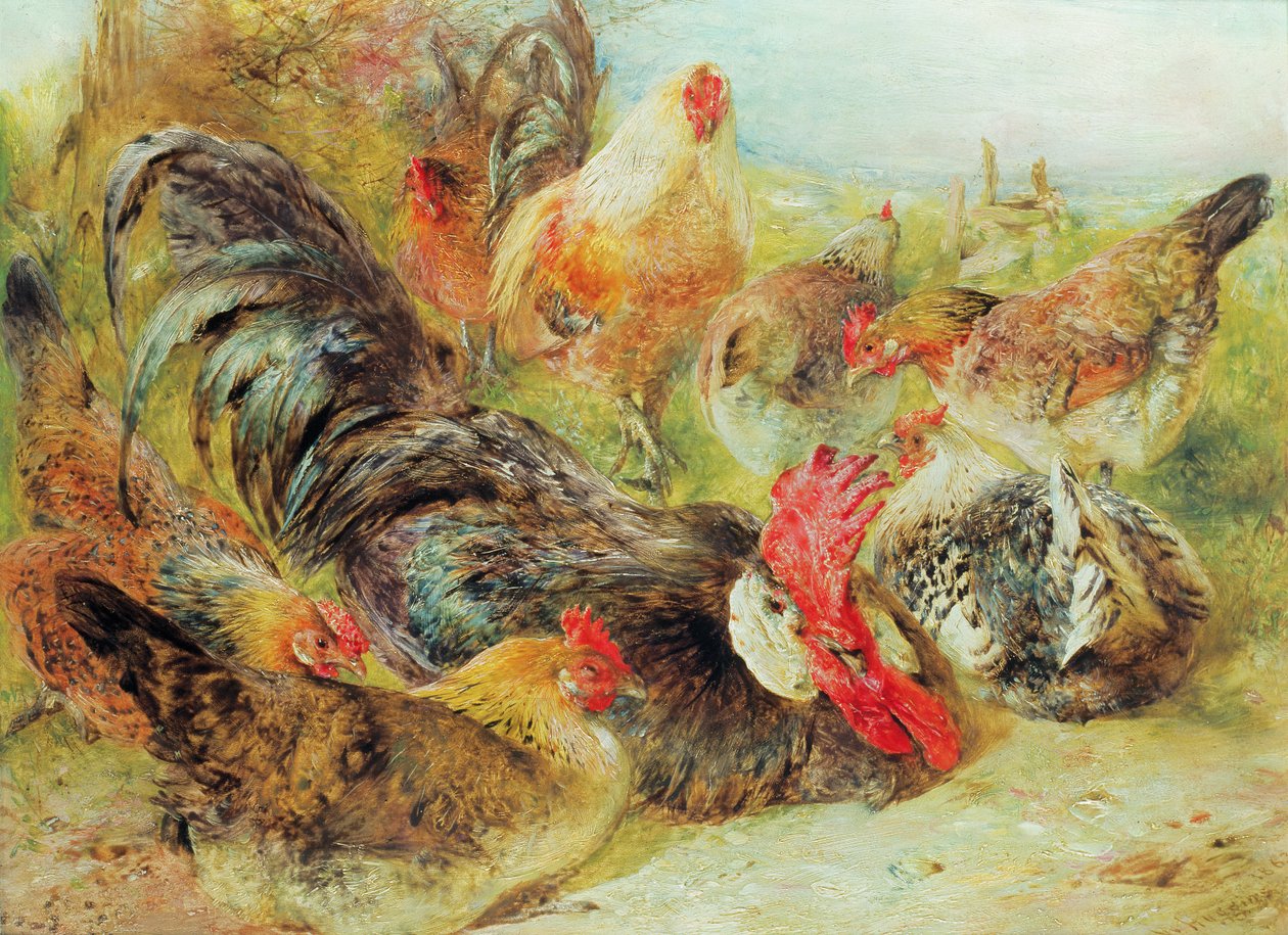 Kümes hayvanları by William Huggins