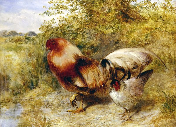 Peyzajda Kümes Hayvanları by William Huggins