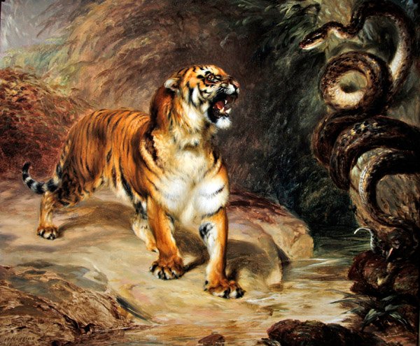 Kaplan ve piton by William Huggins
