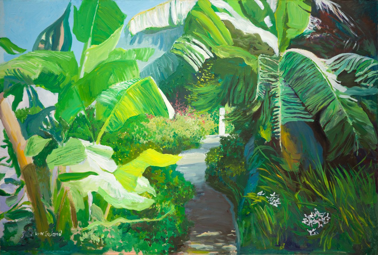 Morne Rouge, Grenada (gemide petrol) by William Ireland