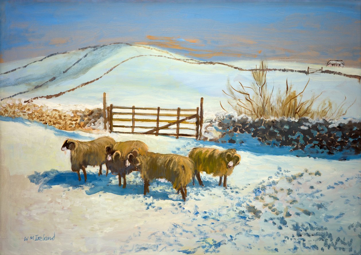 Yorkshire Dales'te kar (gemide petrol) by William Ireland