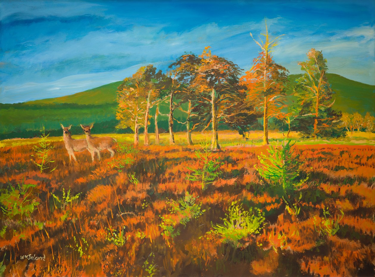 hayır. Aviemore, İskoçya (gemide petrol) by William Ireland