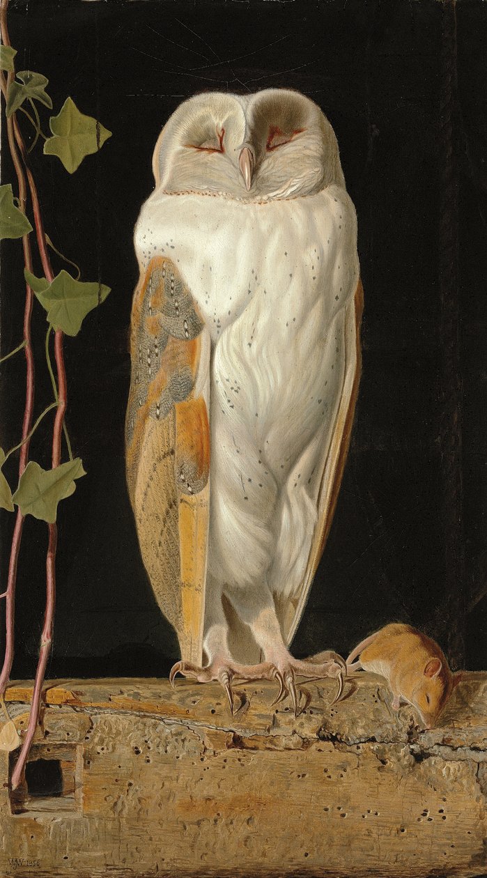 Beyaz Baykuş: "Yalnız ve beş aklını ısıtıyor, beyaz baykuş çan kulesinde oturuyor", 1856 by William J. Webbe