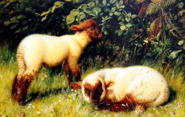 Koyun, c.1860 (gemideki yağ) by William J. Webbe or Webb