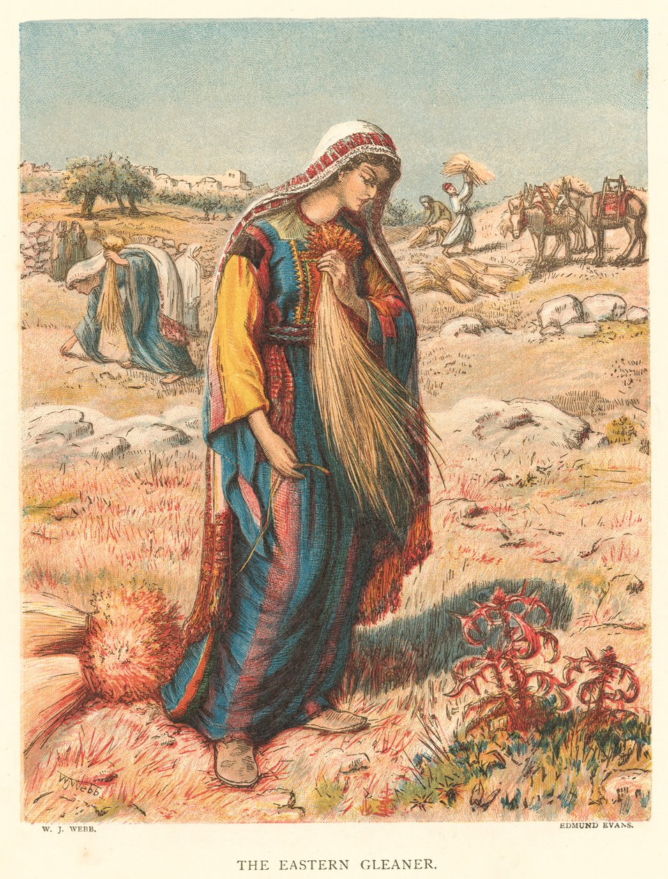 The Eastern Gleaner (renkli gravür) by William J. Webbe or Webb