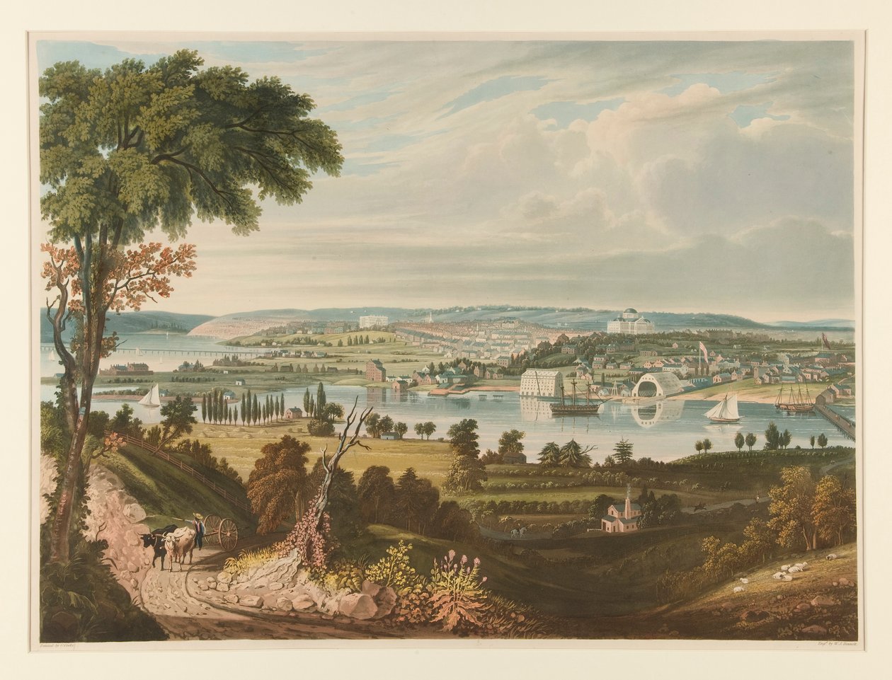 Donanma Bahçesinin Ötesinde Washington Şehri by William James Bennett