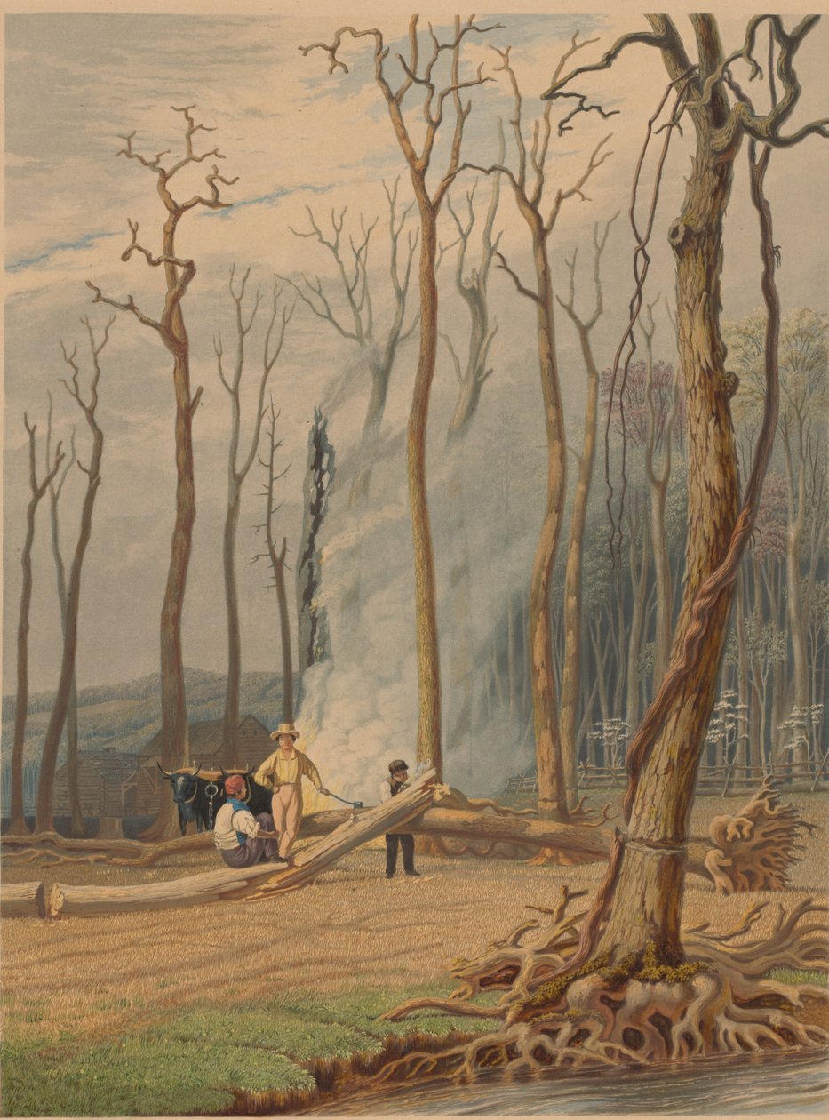 Bahar -- Kuşaklı Bir Açıklıkta Düşen Ağaçları Yakmak. Batı Sahnesi, 1841. by William James Bennett