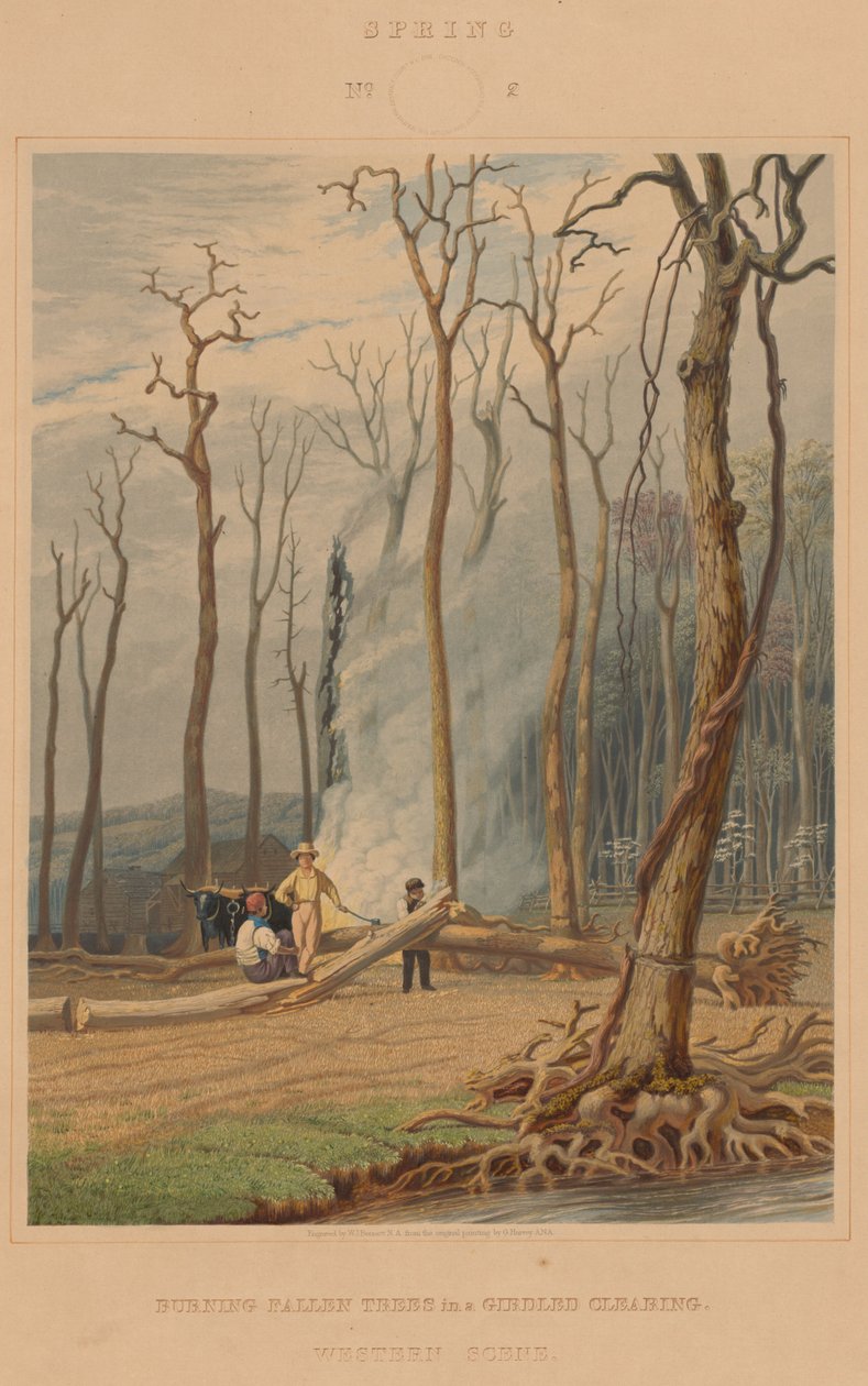 Bahar -- Kuşaklı Bir Açıklıkta Düşen Ağaçları Yakmak. Batı Sahnesi by William James Bennett after George Harvey