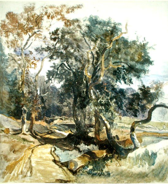 Woodland Track (kağıt üzerine kalem ve sulu boya) by William James Muller