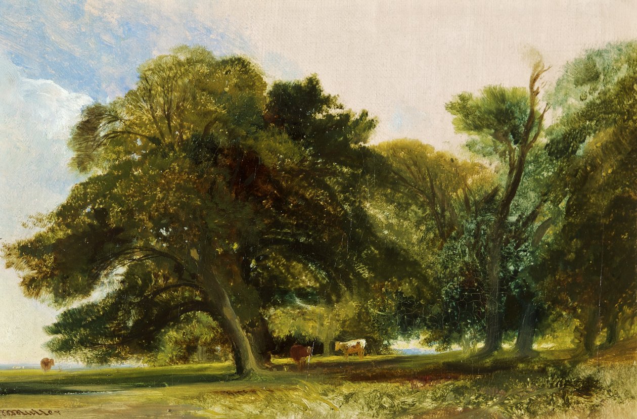 Kingsweston Park - Eskiz, 1833 dolayları (tuval üzerine yağlı boya) by William James Muller