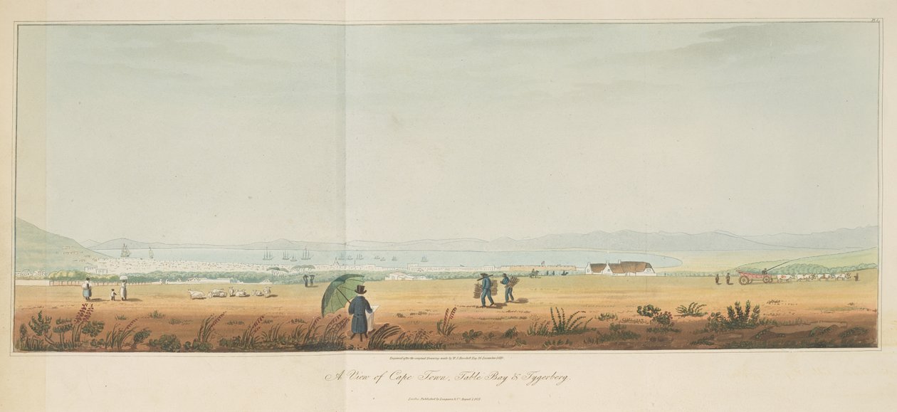 Travels in the Interior of Southern Africa, cilt. 1 by William John (after) Burchell