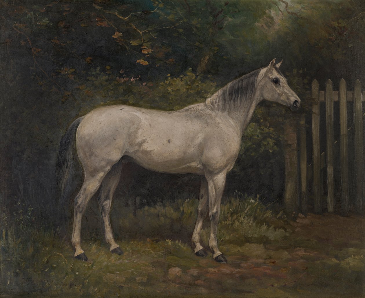 Turşu: Basuto midillisi, c.1904 (tuval üzerine yağlı boya) by William Josiah Redworth