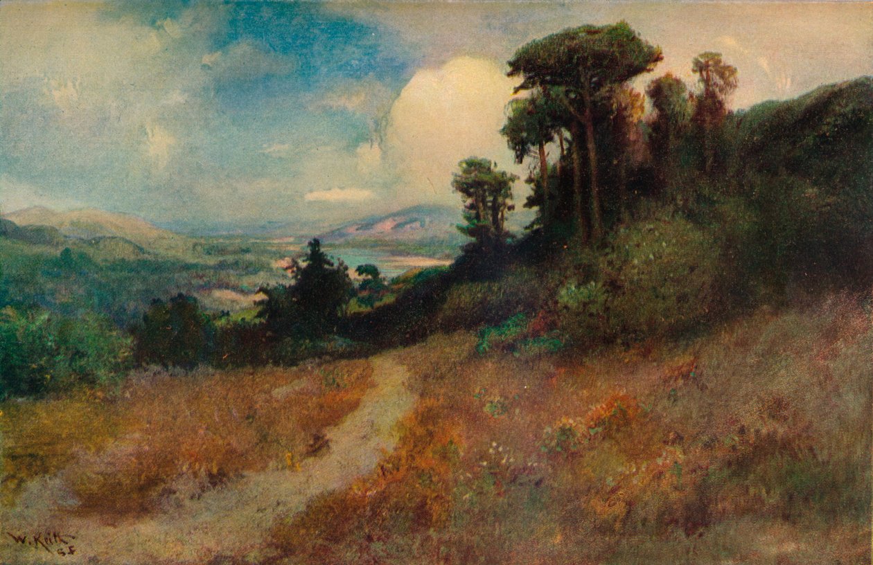 Rus Nehrinin Ağzına Yakın, Sonoma County, California, c1878 by William Keith