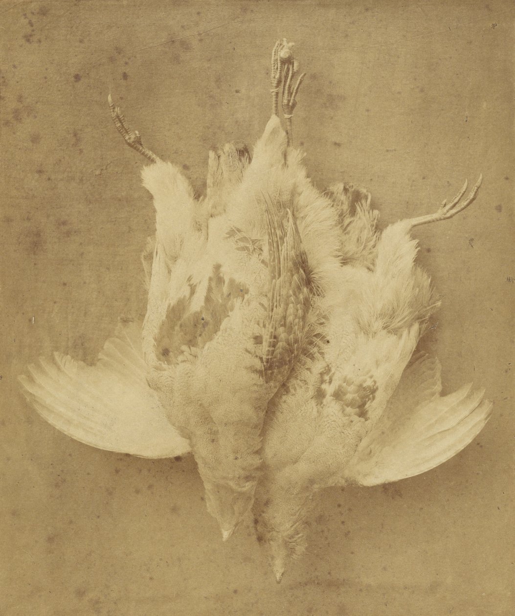  by William Lake Price