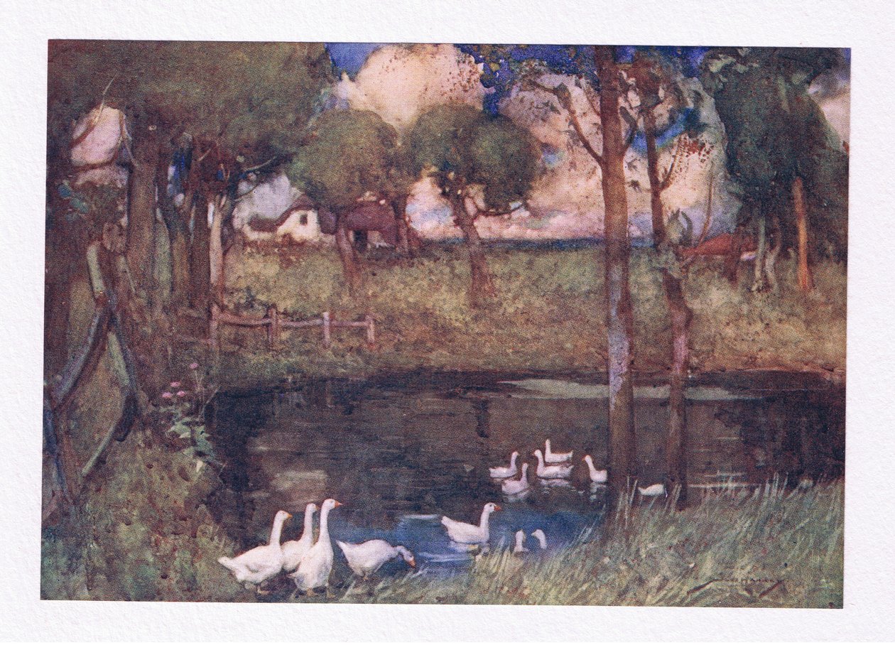 Havuzun üzerinde gevezelik eden gürültülü kazlar (renkli litho) by William Lee Hankey