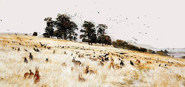 A Rookery, 1889 dolayları (tuval üzerine yağlı boya) by William Lionel Wyllie