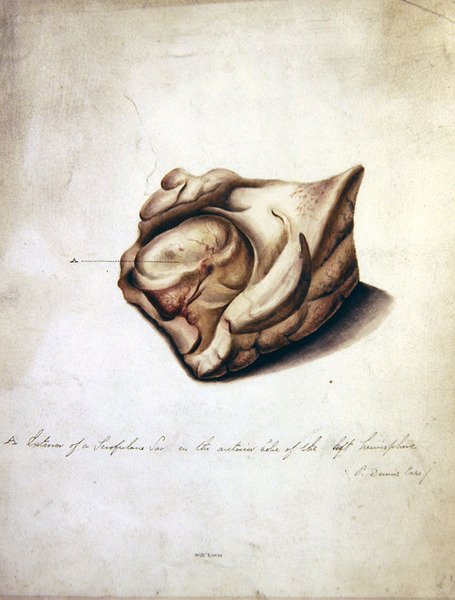 Beyin Çalışması II, c.1850 (kağıt üzerine suluboya) by William Lover