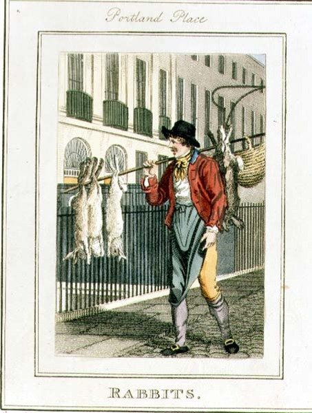 Tavşanlar, Portland Place, 