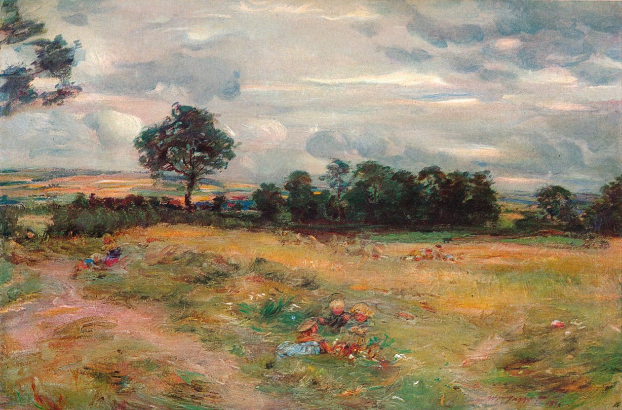 Broomieknowe