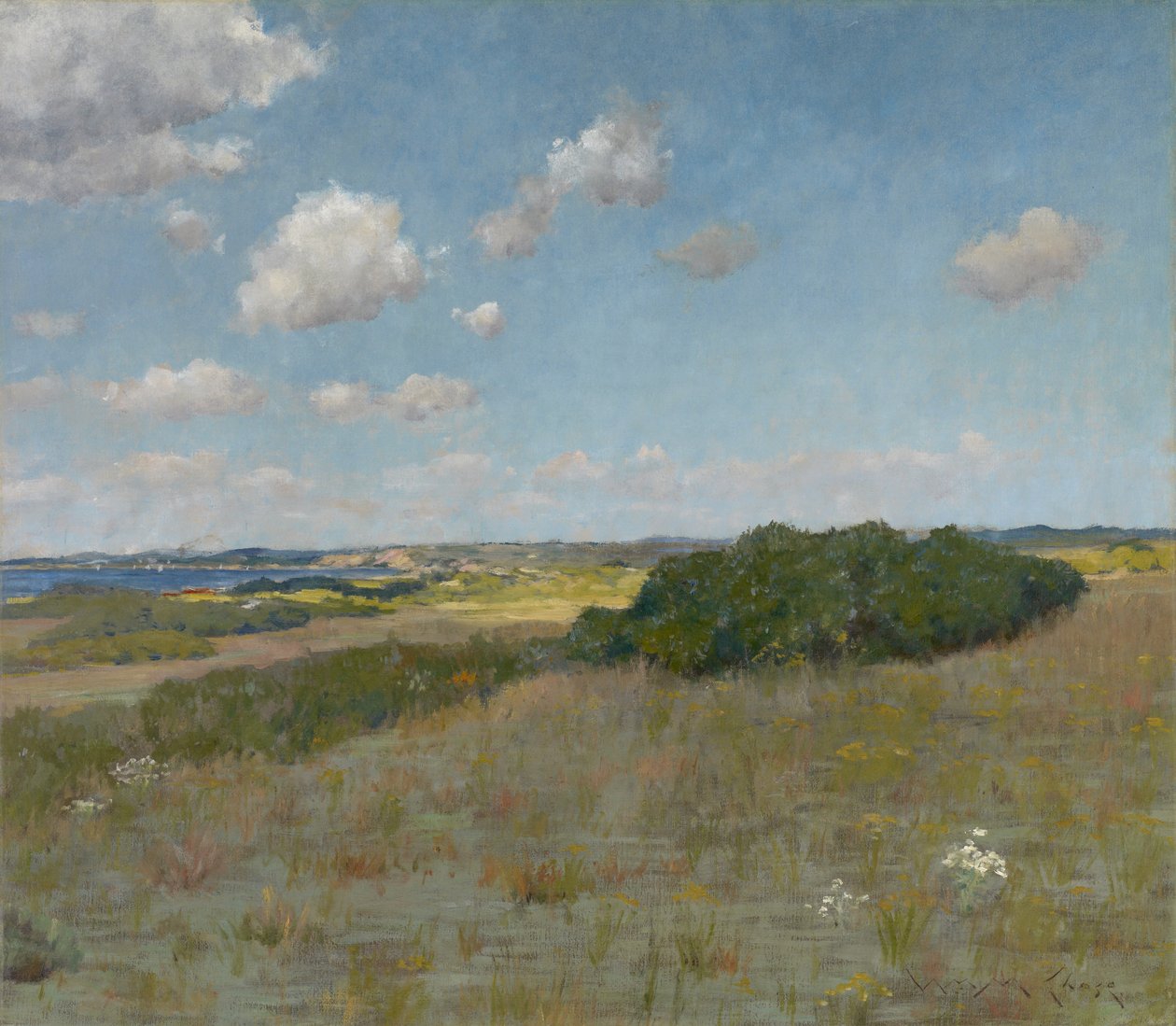 Güneş Işığı ve Gölge, Shinnecock Tepeleri, 1895 dolayları (tuval üzerine yağlı boya) by William Merritt Chase