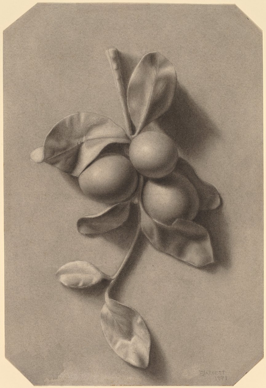 Bir Dal Erik by William Michael Harnett