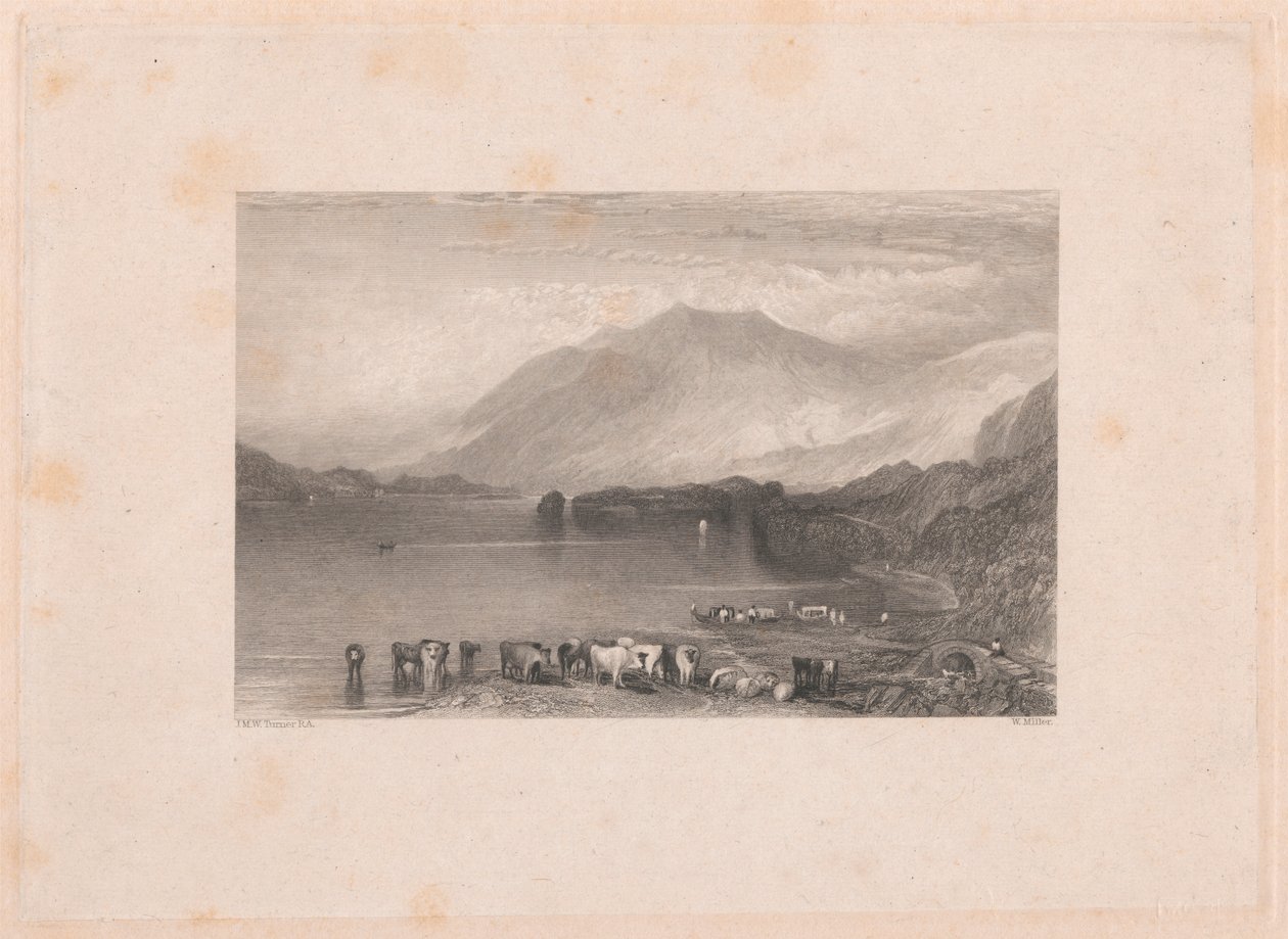 patinaj by William Miller
