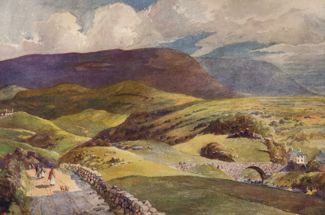 Donegal