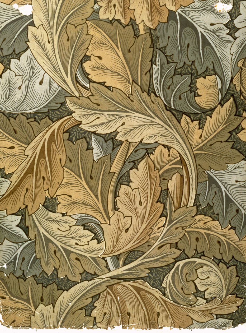 William Morris (1834-96), 1875 tarafından tasarlanan Acanthus duvar kağıdı by William Morris