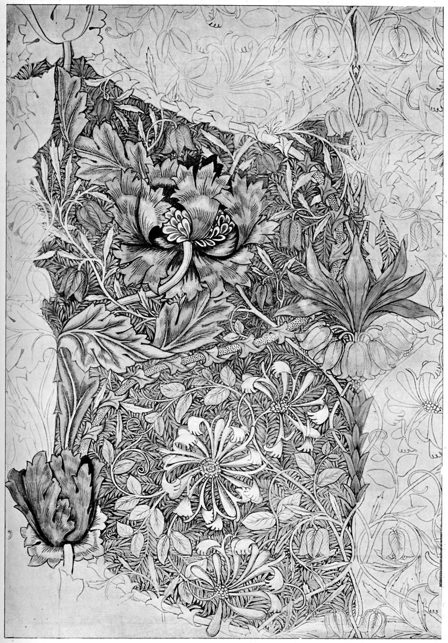 Keten üzerine basılmış hanımeli deseni, 1883 1934. by William Morris