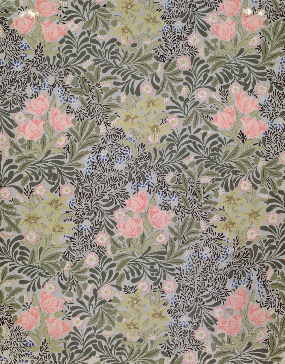 Laleler, Papatyalar ve Hanımeli ile duvar kağıdı tasarımı (duvar kağıdı) by William Morris