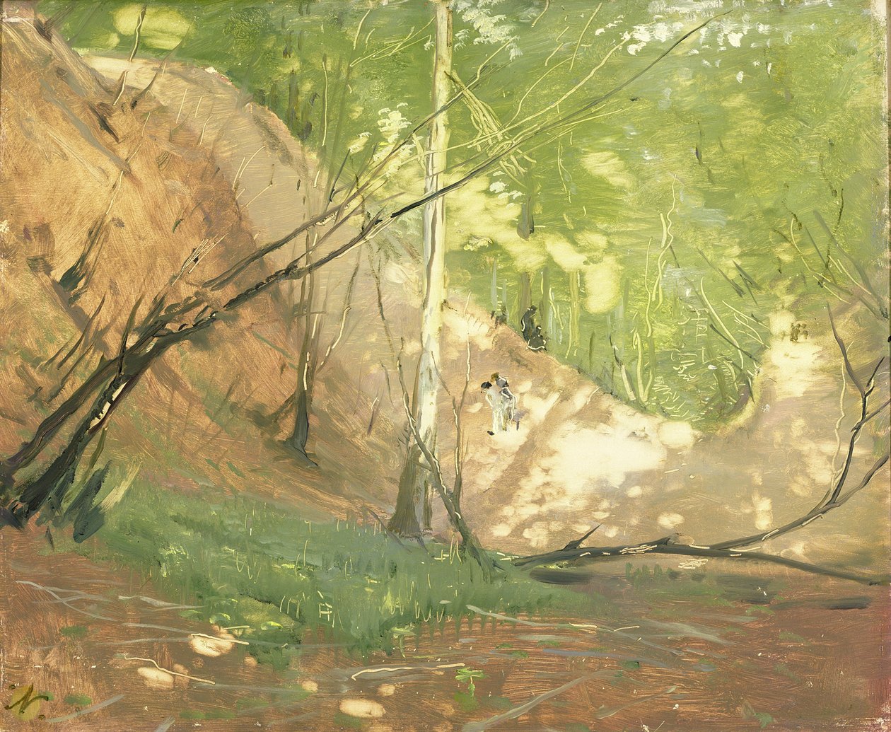 Midhurst Yakınlarında Kayran (tuval üzerine yağlı boya) by William Nicholson