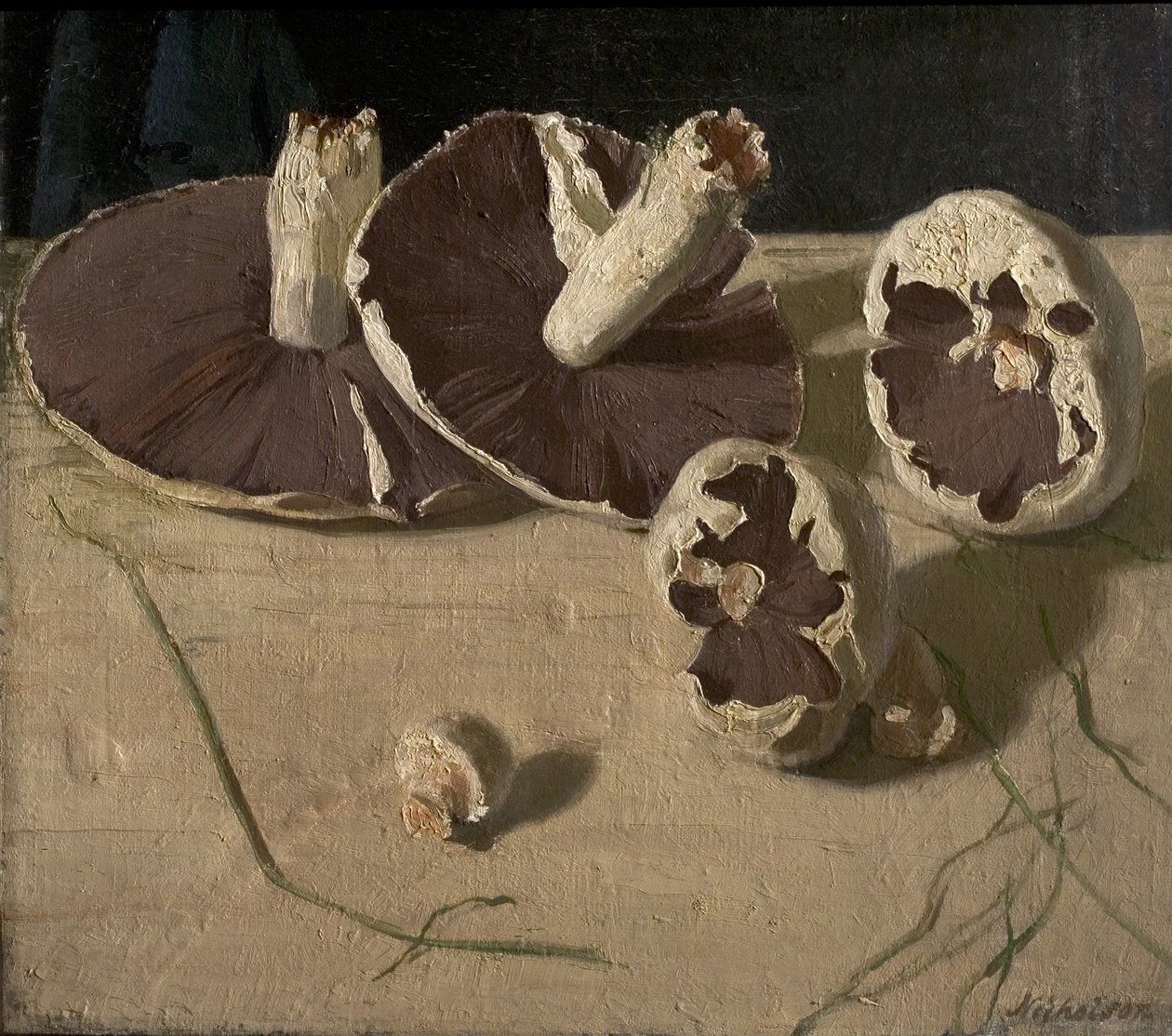 Mantarlar by William Nicholson