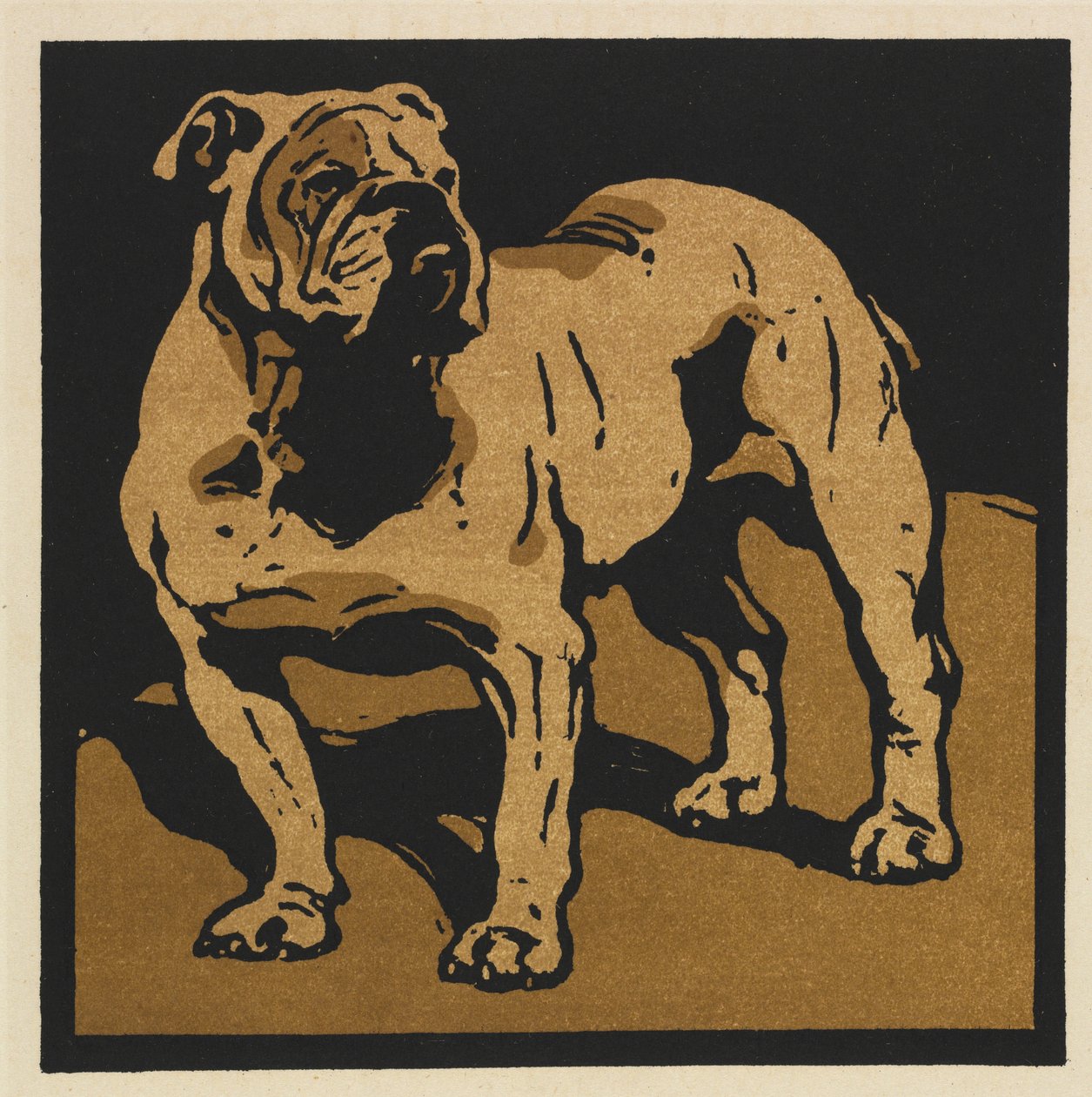 Hayvanların Kare Kitabı: İngiliz Boğa Köpeği by William Nicholson