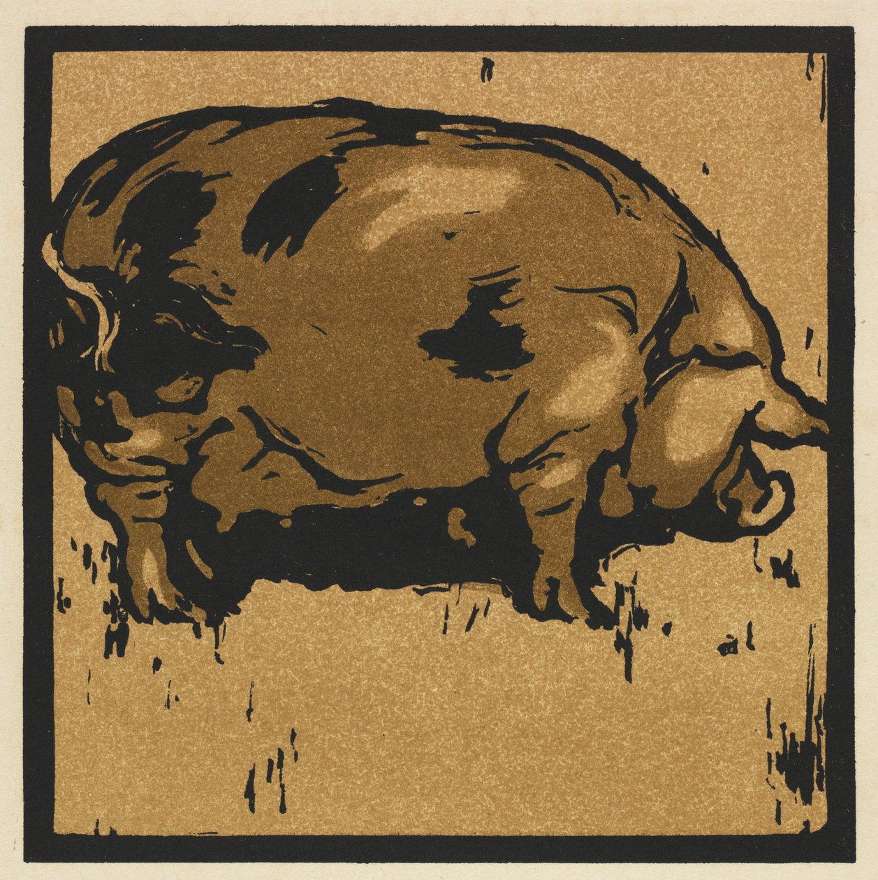 Hayvanların Kare Kitabı: Öğrenilmiş Domuz by William Nicholson